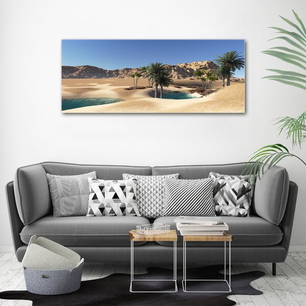 Moderní fotoobraz canvas na rámu Oáza oc-58101782