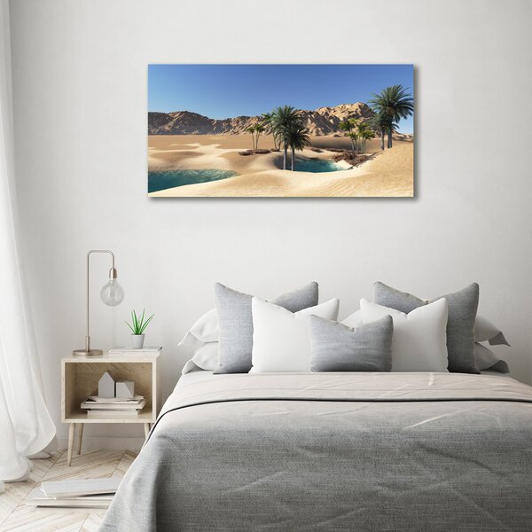 Moderní fotoobraz canvas na rámu Oáza oc-58101782