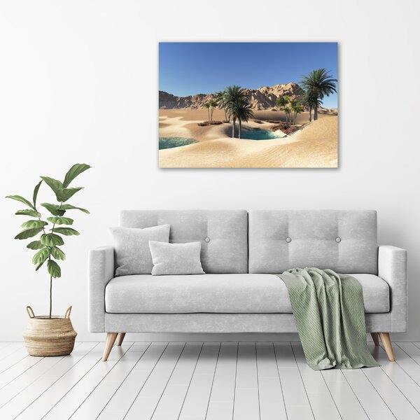 Moderní fotoobraz canvas na rámu Oáza oc-58101782