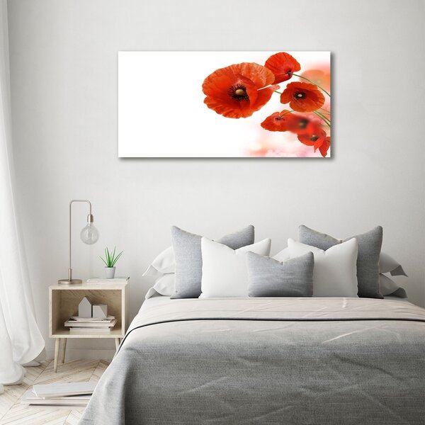 Foto obraz canvas Máky oc-58416422