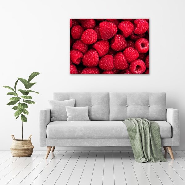 Foto obraz canvas Maliny oc-58586956