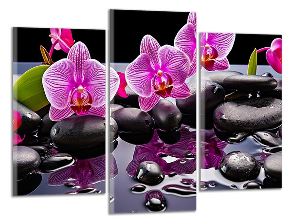Moderní obraz Orchideje a černé kameny