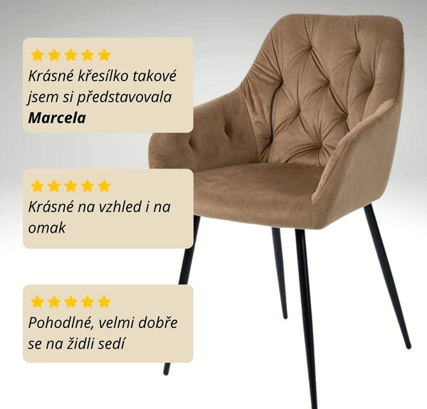 Vikio Jídelní židle čalouněná s područkami béžová HJZ106BE