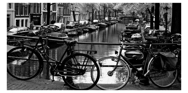 Fotoobraz na skle Kola Amsterdam osh-5974045