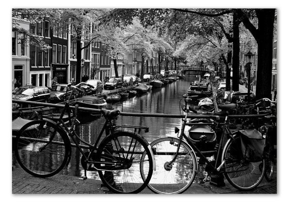 Fotoobraz na skle Kola Amsterdam osh-5974045