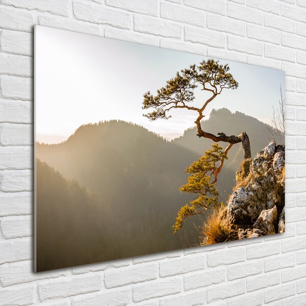 Fotoobraz na skle Sokolice Pieniny osh-59943899