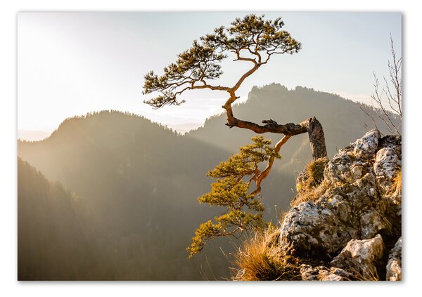 Fotoobraz na skle Sokolice Pieniny osh-59943899