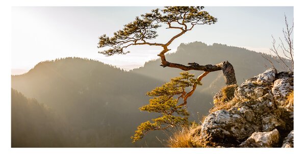 Fotoobraz na skle Sokolice Pieniny osh-59943899
