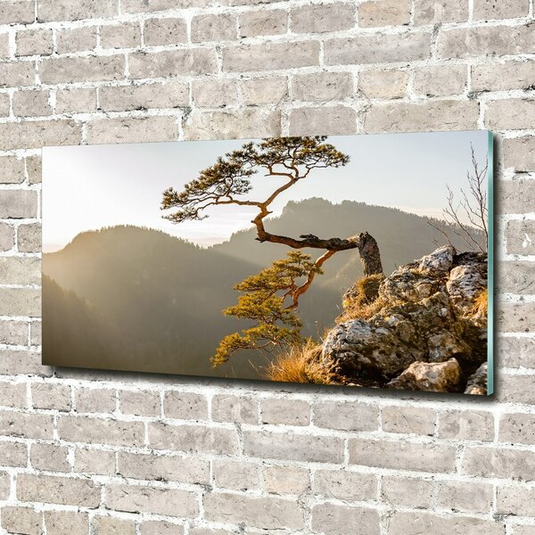Fotoobraz na skle Sokolice Pieniny osh-59943899