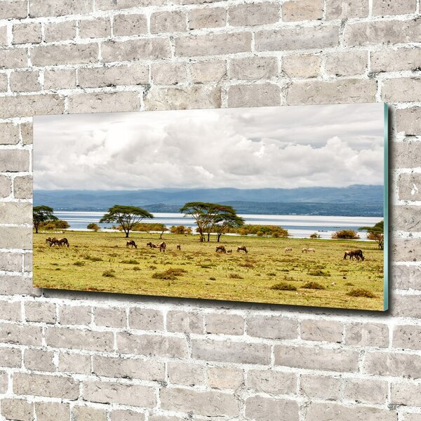 Foto obraz fotografie na skle Jezero Naivasha osh-60219348