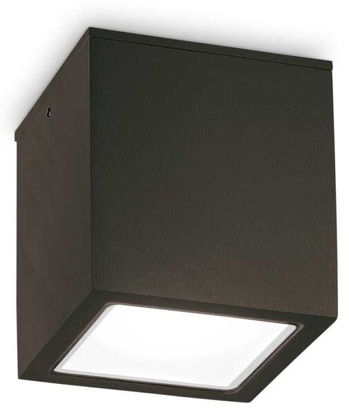 Ideal Lux Stropní přisazené svítidlo TECHO PL1 SMALL, IP54 Barva: Černá