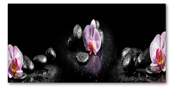 Foto-obrah sklo tvrzené Orchidej osh-60629892