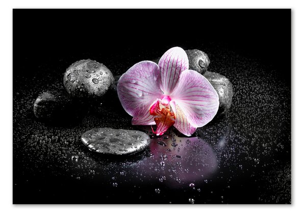 Foto-obrah sklo tvrzené Orchidej osh-60629892