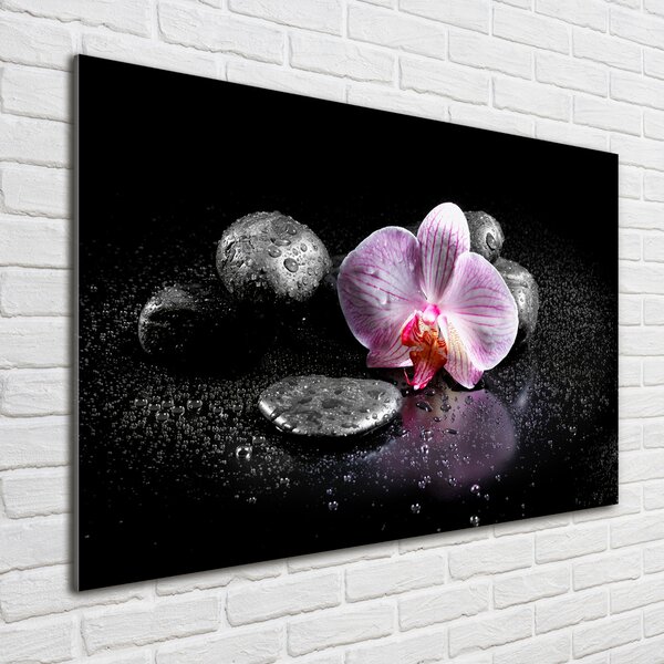 Foto-obrah sklo tvrzené Orchidej osh-60629892
