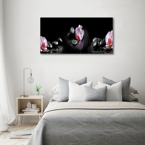 Foto obraz na plátně do obýváku Orchidej oc-60629892