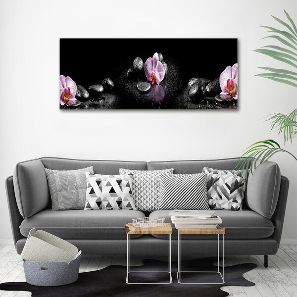 Foto obraz na plátně do obýváku Orchidej oc-60629892
