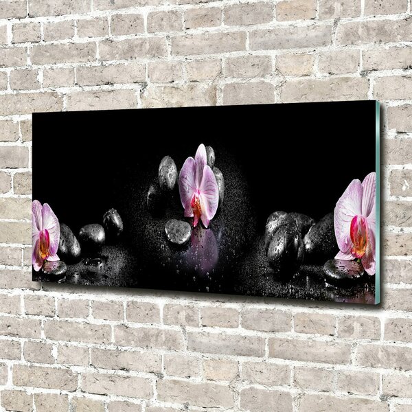Foto-obrah sklo tvrzené Orchidej osh-60629892