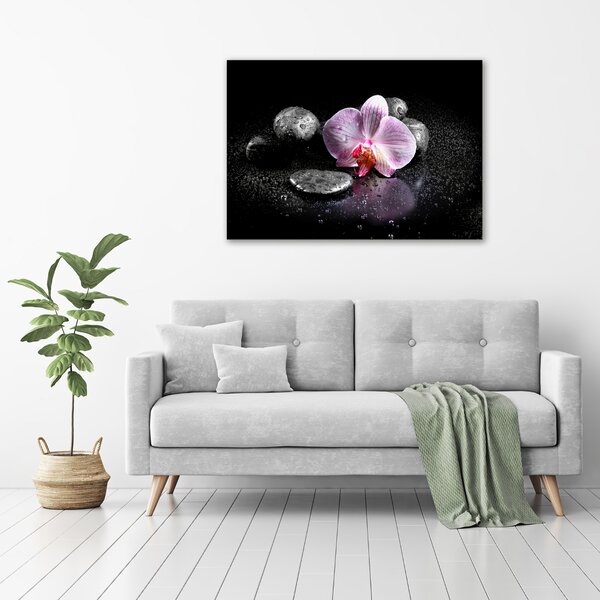 Foto obraz na plátně do obýváku Orchidej oc-60629892