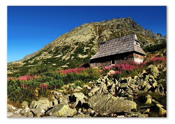 Fotoobraz na skle Bacovina v údolí osh-61140589