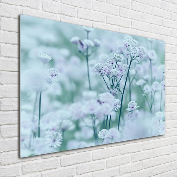 Moderní skleněný obraz z fotografie Jarmanka větší osh-61315744