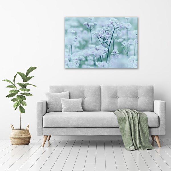Moderní fotoobraz canvas na rámu Jarmanka větší oc-61315744