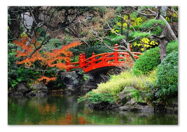 Foto obraz sklo tvrzené Japonská zahrada osh-61384677
