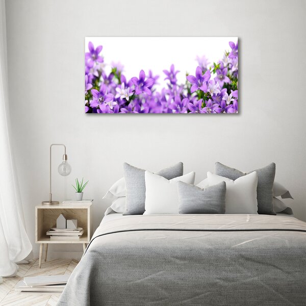 Fotoobraz na skle Fialové zvonky osh-61481460