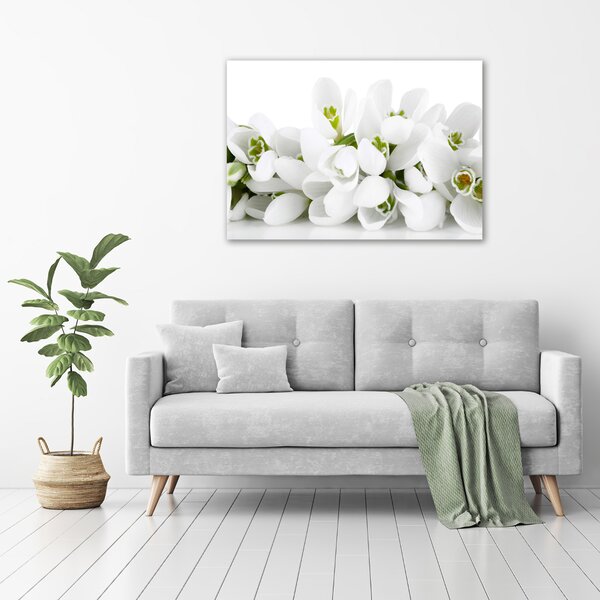 Moderní obraz canvas na rámu Prvosenky oc-61615324