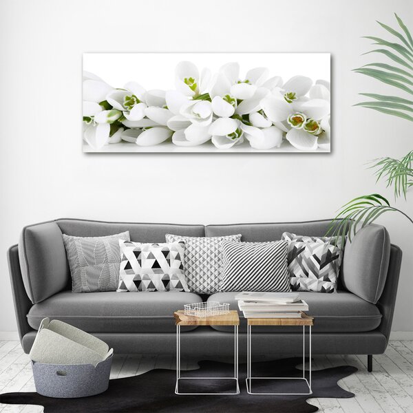 Moderní obraz canvas na rámu Prvosenky oc-61615324