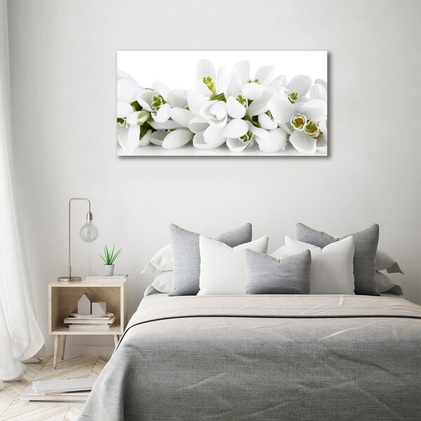 Moderní obraz canvas na rámu Prvosenky oc-61615324