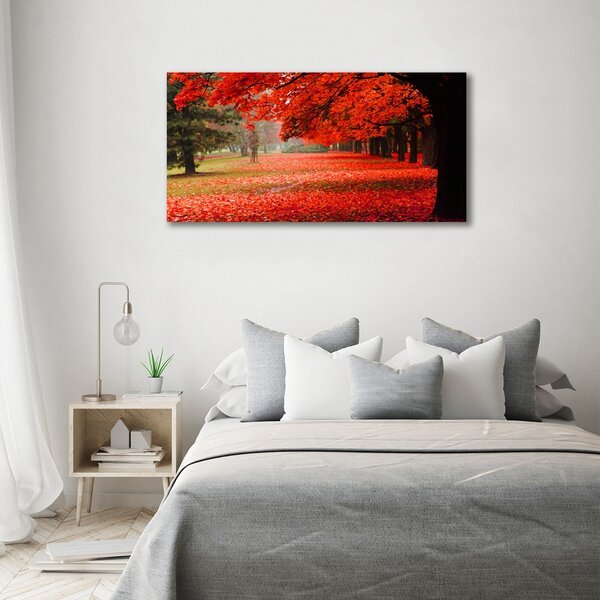Foto obraz canvas Stromy podzim oc-62277653