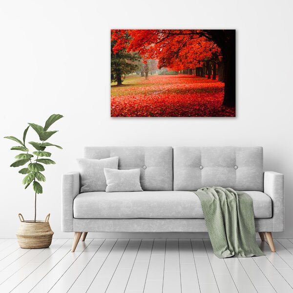 Foto obraz canvas Stromy podzim oc-62277653