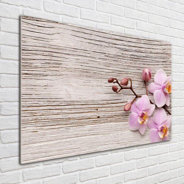 Moderní skleněný obraz z fotografie Orchidej a na stromě osh-62495656