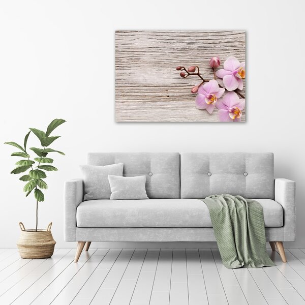 Moderní skleněný obraz z fotografie Orchidej a na stromě osh-62495656