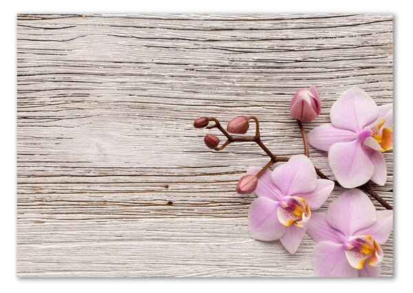 Moderní skleněný obraz z fotografie Orchidej a na stromě osh-62495656