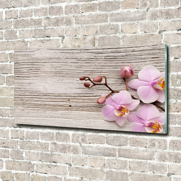 Moderní skleněný obraz z fotografie Orchidej a na stromě osh-62495656