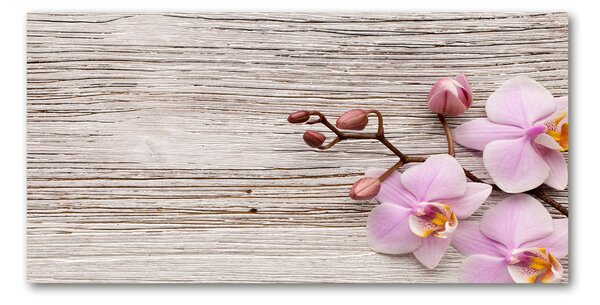 Moderní skleněný obraz z fotografie Orchidej a na stromě osh-62495656