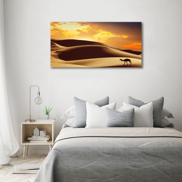 Foto obraz na plátně Velbloud Sahara oc-62618383