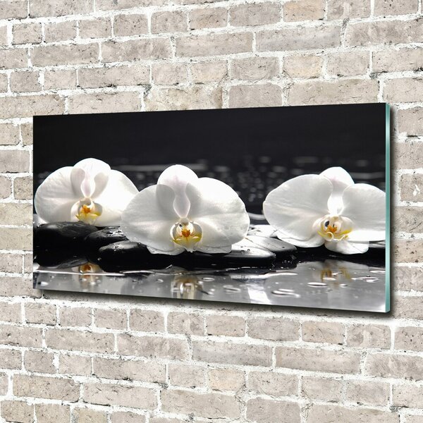 Foto-obrah sklo tvrzené Orchidej osh-62952104