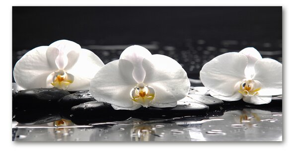 Foto-obrah sklo tvrzené Orchidej osh-62952104