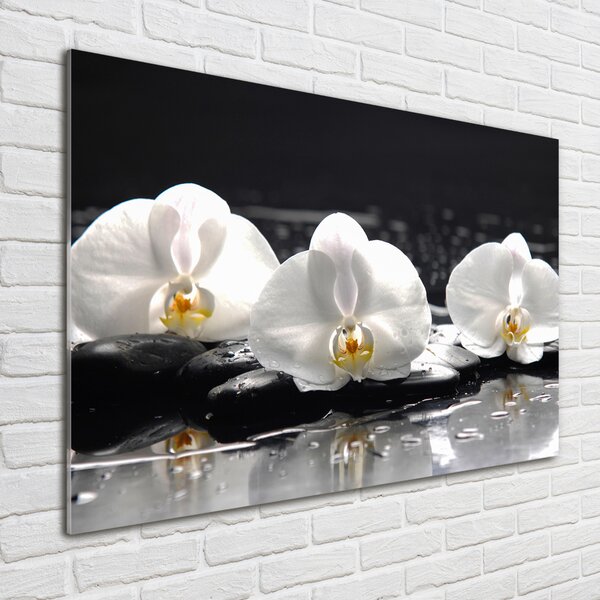 Foto-obrah sklo tvrzené Orchidej osh-62952104