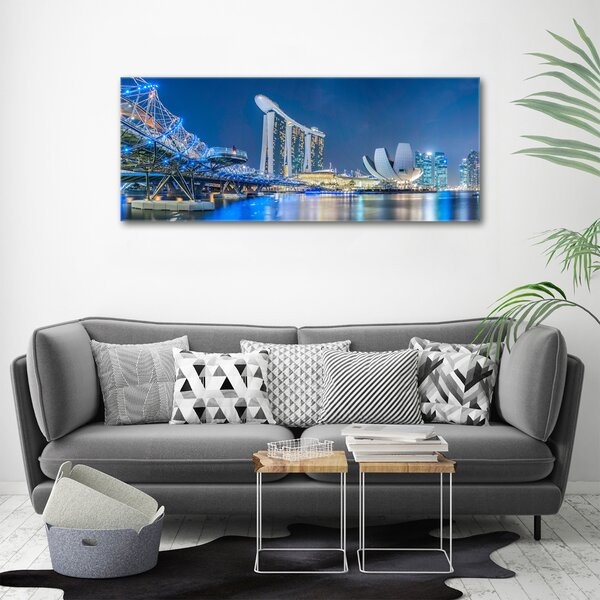 Moderní obraz canvas na rámu Singapur noc oc-63023260