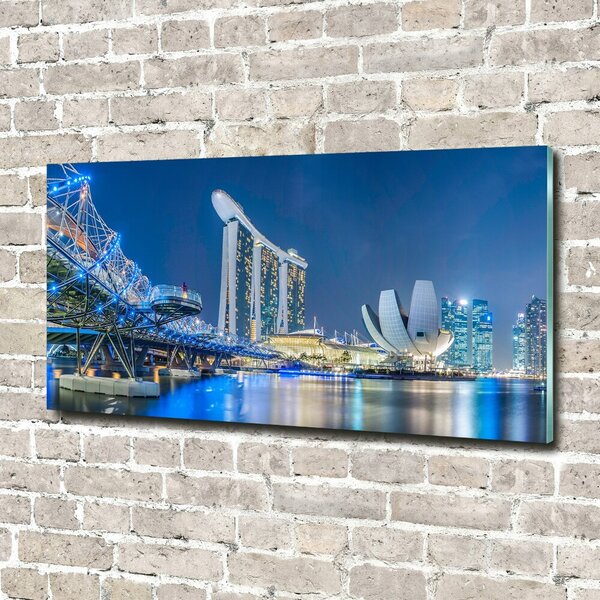 Foto-obraz fotografie na skle Singapur noc osh-63023260