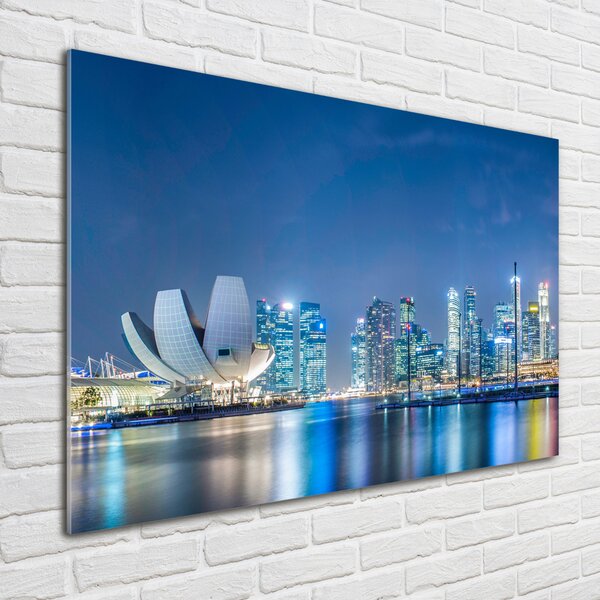 Foto-obraz fotografie na skle Singapur noc osh-63023260