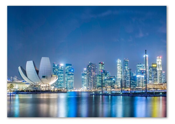 Foto-obraz fotografie na skle Singapur noc osh-63023260
