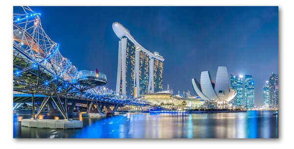 Foto-obraz fotografie na skle Singapur noc osh-63023260