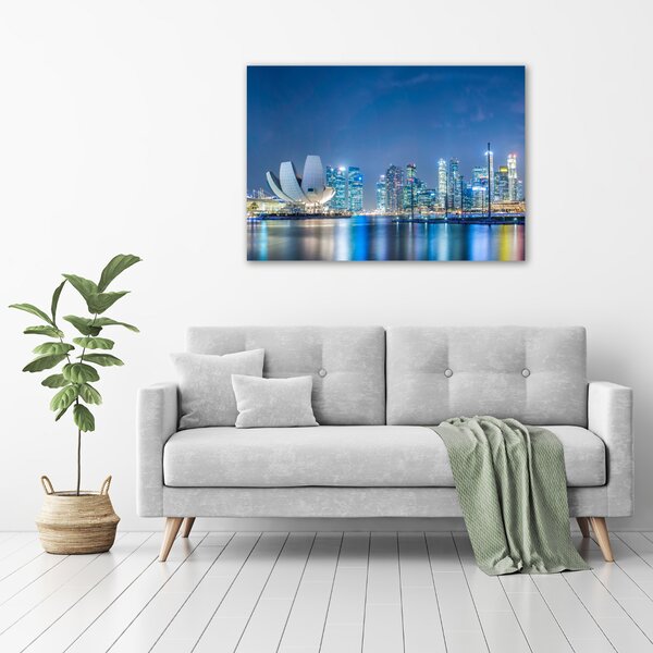 Moderní obraz canvas na rámu Singapur noc oc-63023260