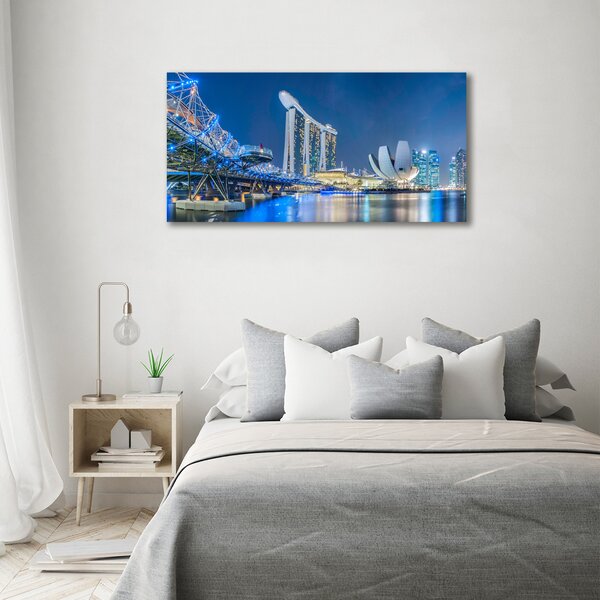 Moderní obraz canvas na rámu Singapur noc oc-63023260