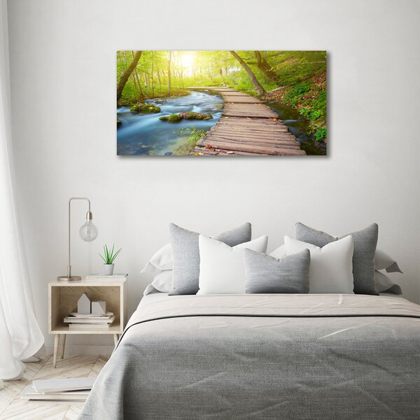 Foto obraz canvas Stezka v lese oc-63778873
