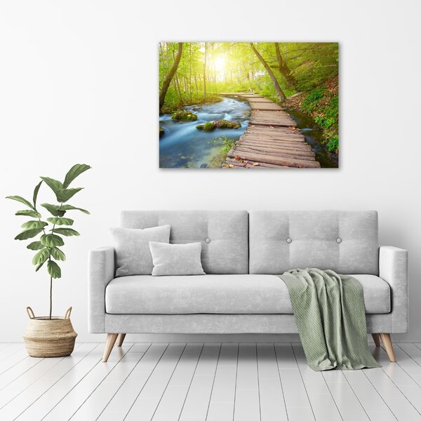 Foto obraz canvas Stezka v lese oc-63778873